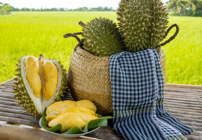 CÔNG TY TNHH GIẢI PHÁP KỸ THUẬT HTM